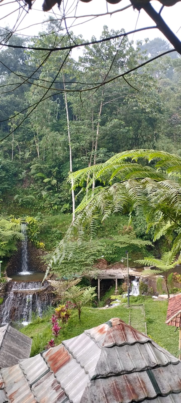 Pengalaman Lokal Terarah