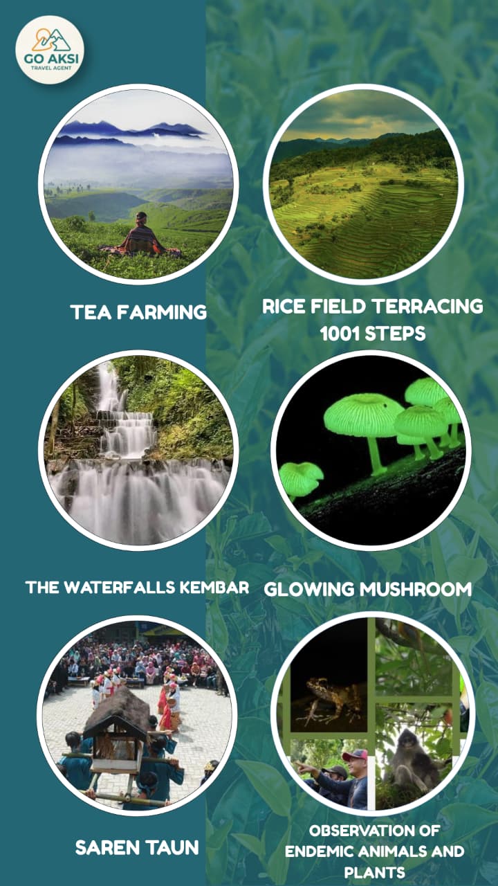 Homestay Go Aksi Gallery