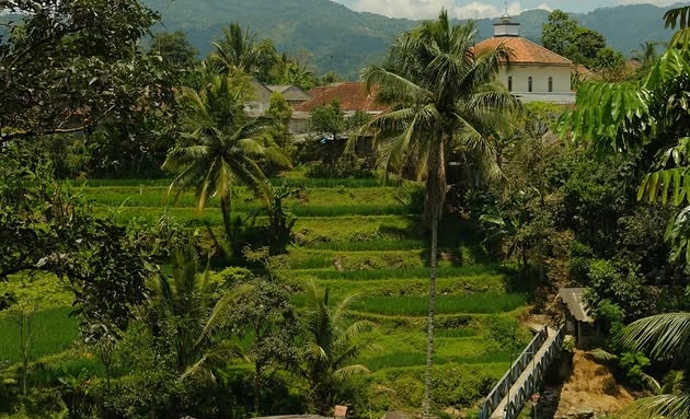 Mitra Homestay GO AKSI Gallery